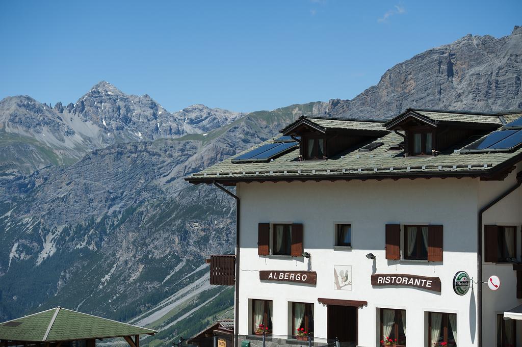 Gallo Cedrone Hotel